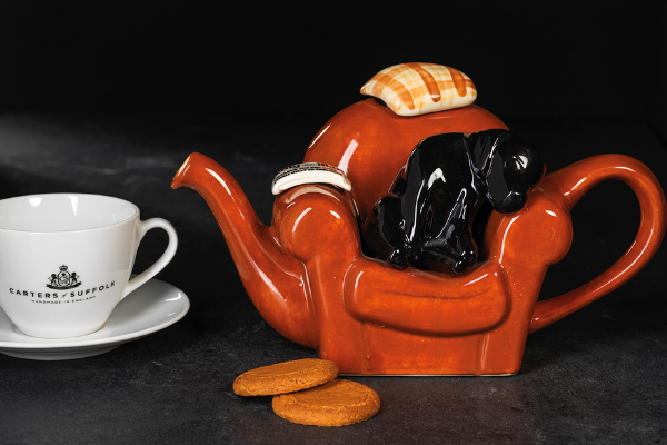 Carters Of Suffolk Handmade Novelty Teapots Ipswich Pottery Painting Experience Custom Teapots